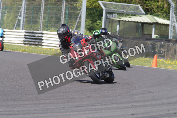BIKES 1354