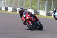 BIKES 1355