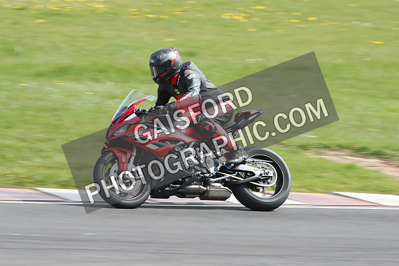 BIKES 2175