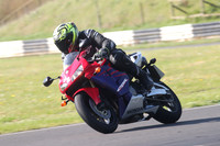 BIKES 0450