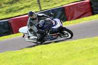 BIKES 1685