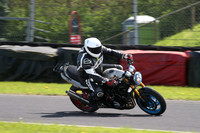 BIKES 1642