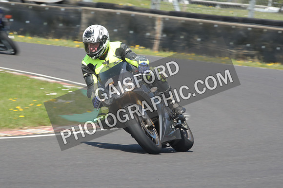 BIKES 0892