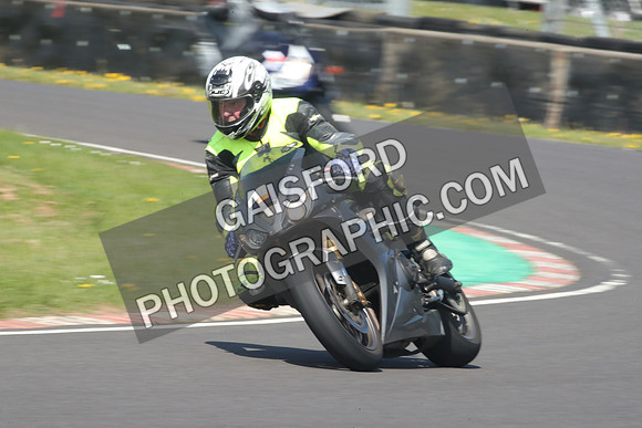 BIKES 0893