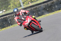 BIKES 0976
