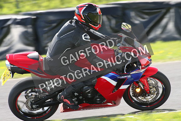 BIKES 1753