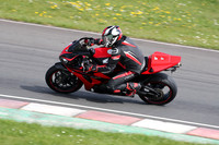 BIKES 2262