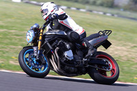 BIKES 1431