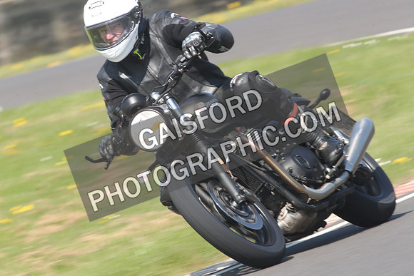 BIKES 0987
