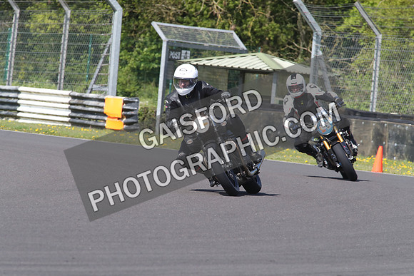 BIKES 1428