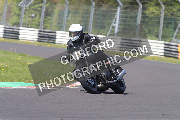 BIKES 1429