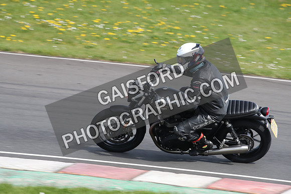 BIKES 2249
