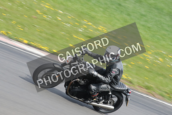 BIKES 2286