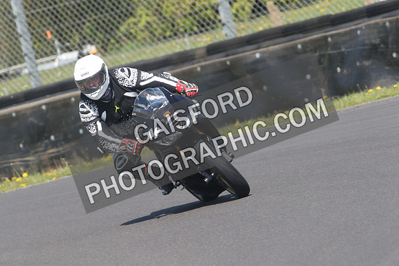 BIKES 0964