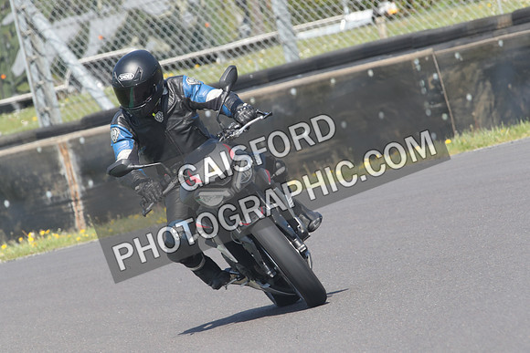 BIKES 0969