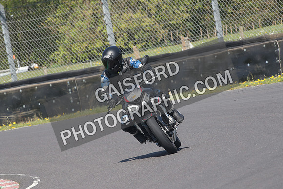 BIKES 0933