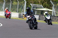 BIKES 1416