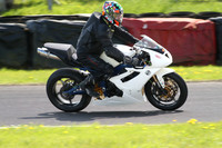 BIKES 1732