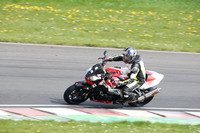 BIKES 2294