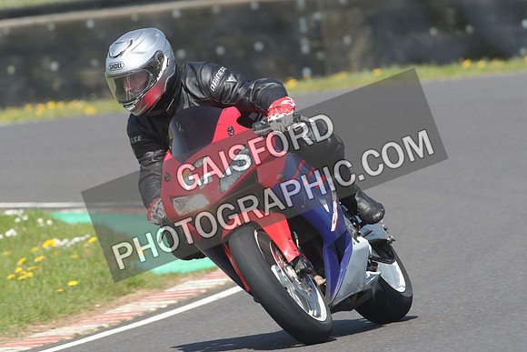 BIKES 1029