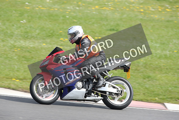BIKES 2305