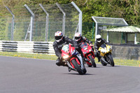 BIKES 1484