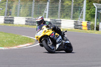 BIKES 1519