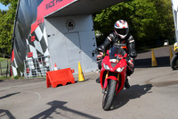 Triumph Daytona Red