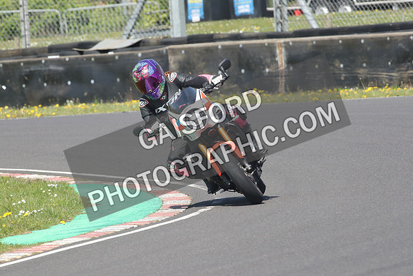 BIKES 1038