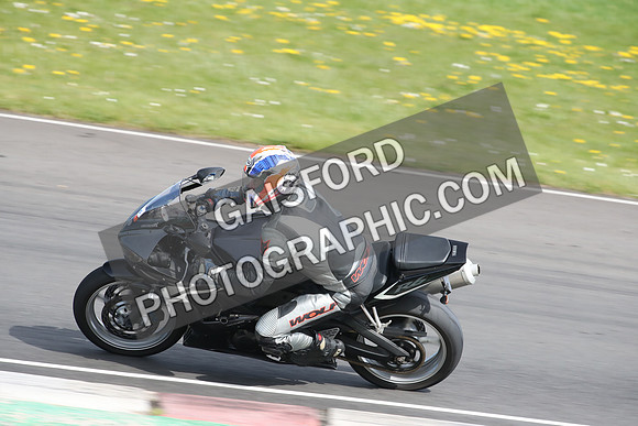BIKES 2310