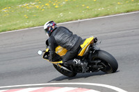 BIKES 2325