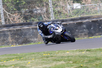 BIKES 0867