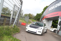 ( Tesla White with Black Bonet )