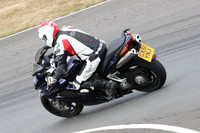 BIKES 1248
