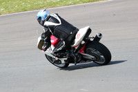 PREMIER 1190