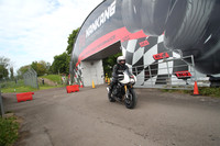 Triumph white