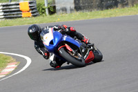 Triumph Daytona blue n red n back