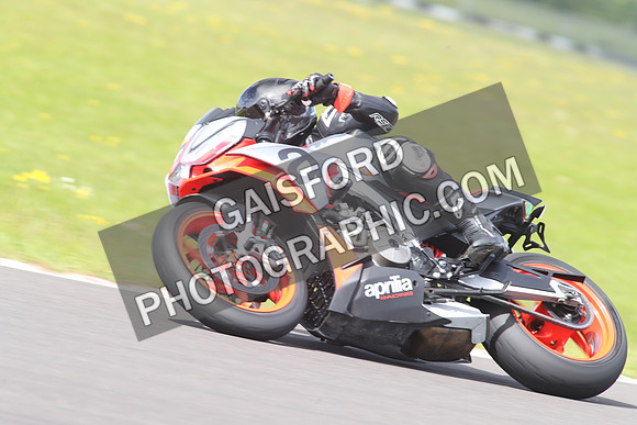 BIKES 1431