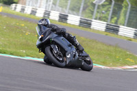 BIKES 1447