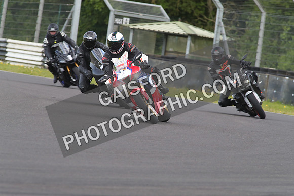 BIKES 1421