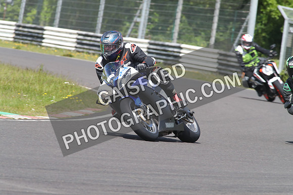 BIKES 1487