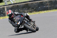 BIKES 0613