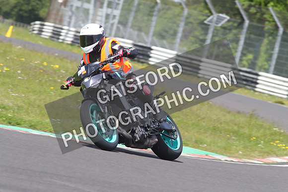 BIKES 1475