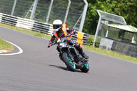 BIKES 1532