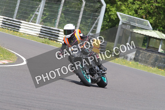 BIKES 1532