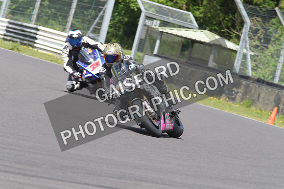 BIKES 1561