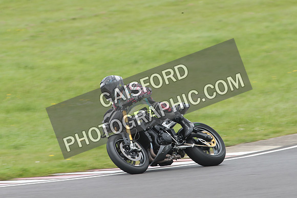BIKES 1174