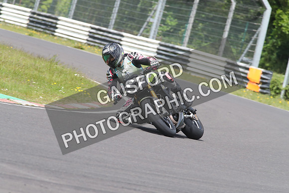 BIKES 1555