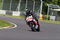 BIKES 1660