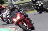 BIKES 0829